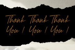 Streper Chane Signature Script Font Product Image 6