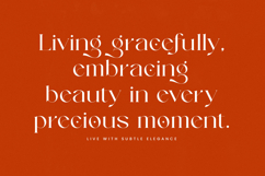 Strikes Against - Modern Serif Font Product Image 12