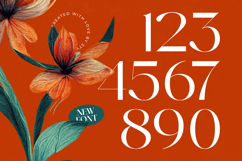 Strikes Against - Modern Serif Font Product Image 13