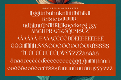 Strikes Against - Modern Serif Font Product Image 18