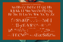 Strikes Against - Modern Serif Font Product Image 19