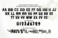 Stripe Vintage Product Image 7