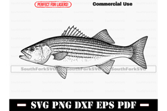 Striped Bass Striper SVG PNG DXF EPS PDF Product Image 1