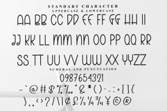 Studio Designer Product Image 5
