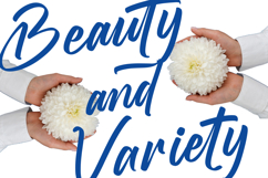 Stagets Thiender - Bold Handwritten Font Product Image 4