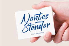 Stagets Thiender - Bold Handwritten Font Product Image 8