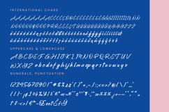 Stagets Thiender - Bold Handwritten Font Product Image 18