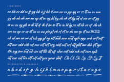 Stagets Thiender - Bold Handwritten Font Product Image 19
