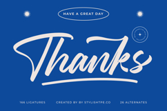 Stagets Thiender - Bold Handwritten Font Product Image 20