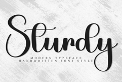 Sturdy Product Image 1