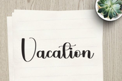 Sturdy Product Image 5