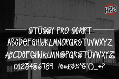 Stussy Pro Product Image 3