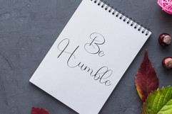 Style Calligraphy Product Image 6