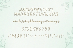 Stylish - Monoline Script Font Product Image 6