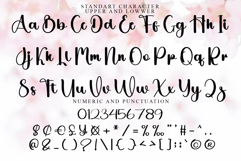 Stylish Absolute Product Image 5