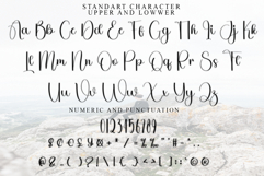 Stylish Alphabet Product Image 4