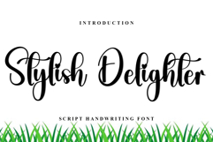 Stylish Delighter Product Image 1