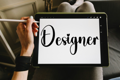 Stylish Delighter Product Image 4