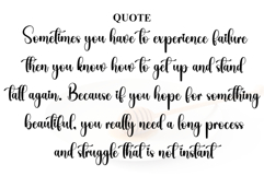 Stylish Delighter Product Image 6