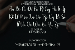 Stylish Delighter Product Image 7