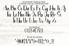 Stylish Handwritten Product Image 7