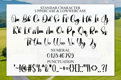 Stylish January Product Image 7