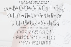 Stylish Photography Product Image 4