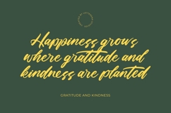 Stylish Rackets Beautiful Handwritten Font Product Image 8