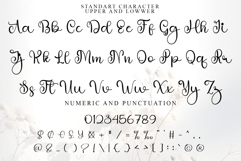 Stylish Together Product Image 5