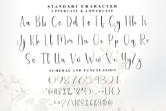 Stylish Vintage Product Image 5