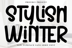 Stylish Winter Product Image 1