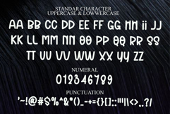 Stylish Winter Product Image 8