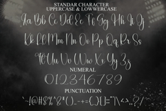 Stylist Writing Product Image 7