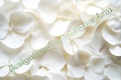Laser cutting templates for gift box with sublimation on lid Product Image 2
