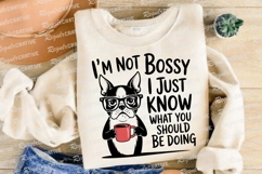 Sarcastic Funny Dog Sublimation Bundle, Sarcastic Bundle Product Image 2