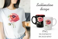 Sublimation design, pink ranunculus flowers, PNG file Product Image 1