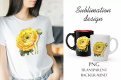 Sublimation design, yellow ranunculus flowers, PNG file Product Image 1