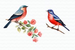 Flowers Birds Watercolor Sublimation Product Image 4