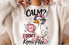 Calm I Don't Know Her Goose PNG, Sassy Goose With Coffee Product Image 2