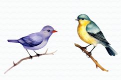 Flowers Birds Watercolor Sublimation Product Image 5