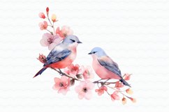 Flowers Birds Watercolor Sublimation Product Image 6