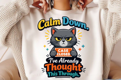 Calm Down Case Closed Funny Cat PNG Design Product Image 2