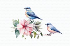 Flowers Birds Watercolor Sublimation Product Image 8