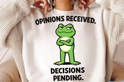 Opinions Received Decisions Pending Funny Frog PNG Design Product Image 2