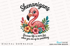 Cartoon Flamingo Shenanigans Sublimation PNG Product Image 1