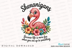 Cartoon Flamingo Shenanigans Sublimation PNG Product Image 1