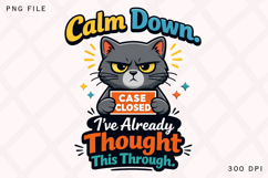 Calm Down Case Closed Funny Cat PNG Design Product Image 1