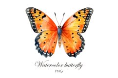 Sublimation Watercolor butterfly PNG