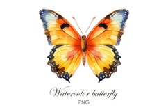 Sublimation Watercolor butterfly PNG