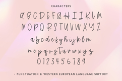 Sublimity Script Font Product Image 10